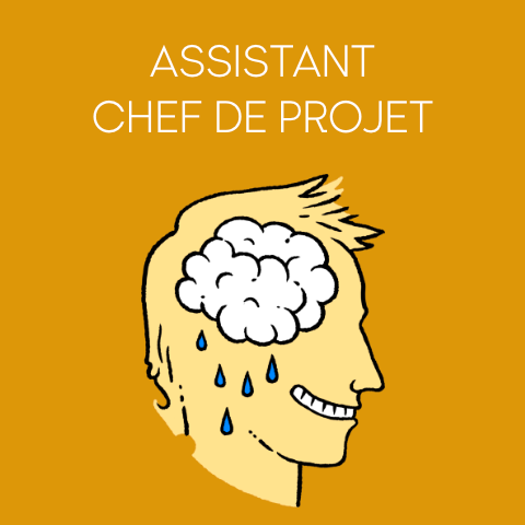 Assistant chef de projet