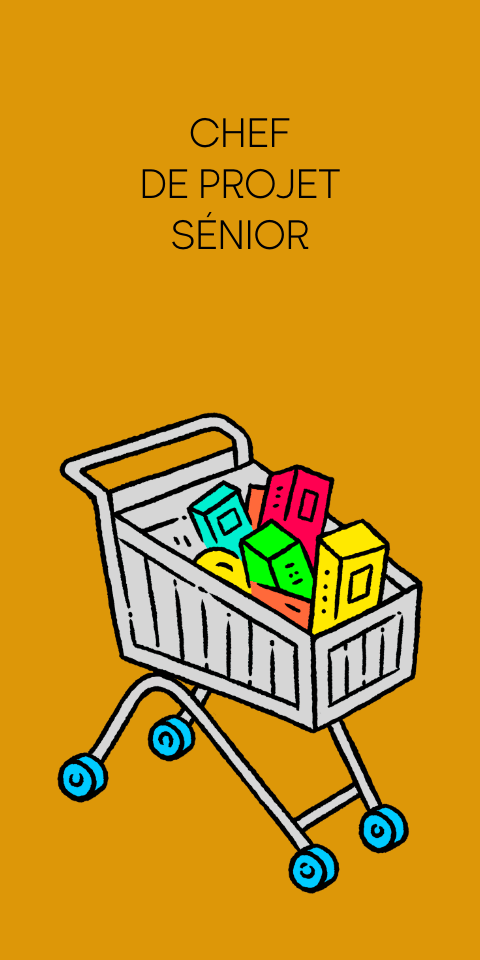 Chef de projet senior